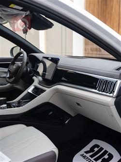 بي واي دي سونغ بلس